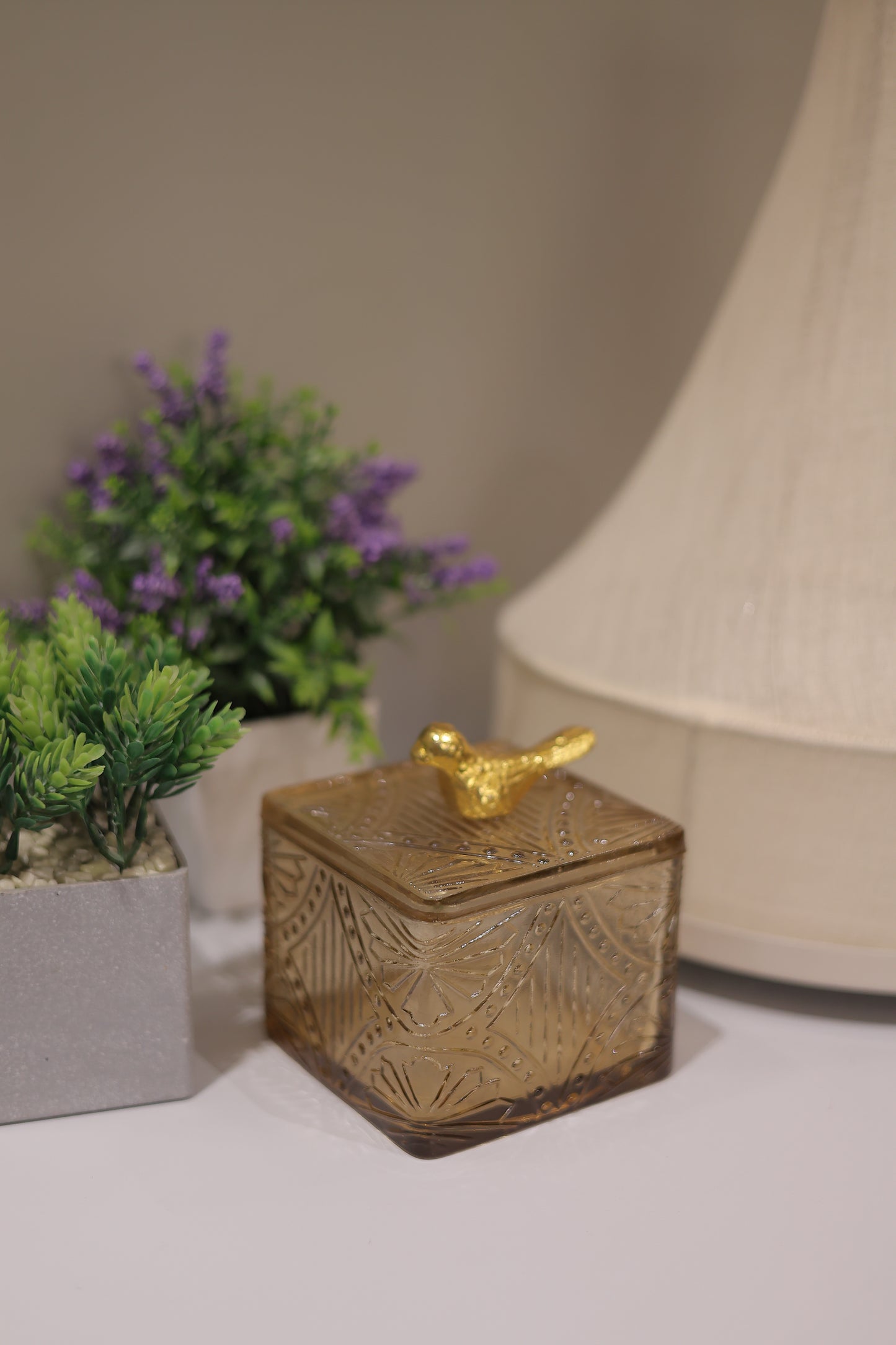 Glass Bird Jar