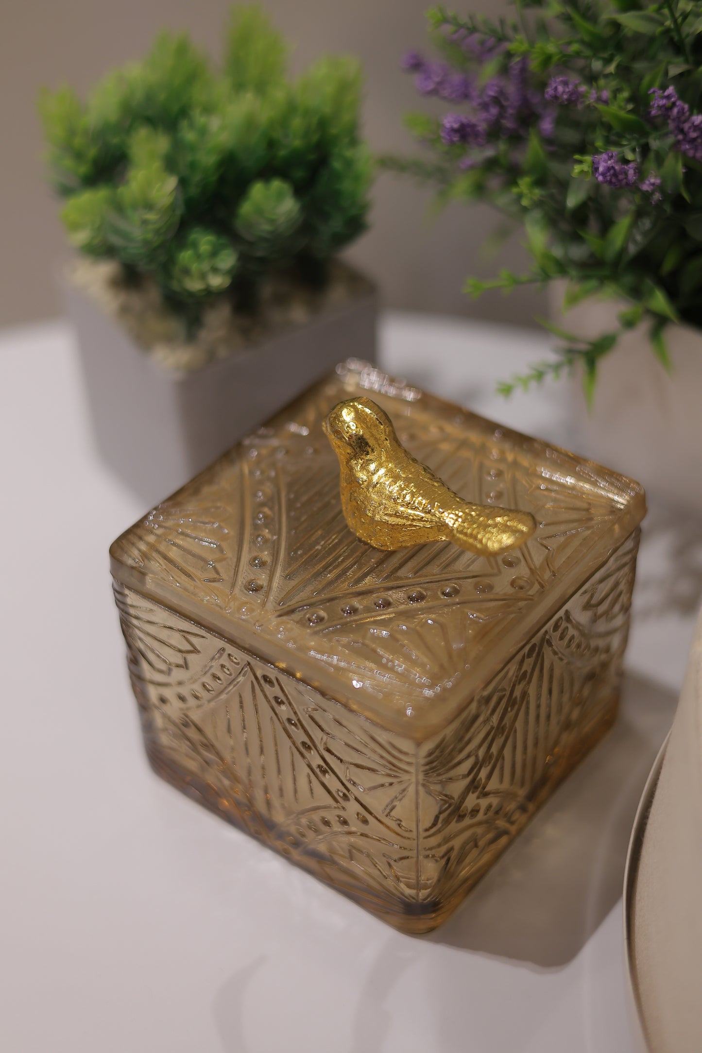 Glass Bird Jar